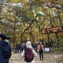다솔식당 - 시흥시 산기대학로 322 | 다솔식당