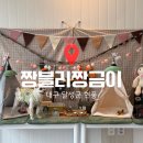 짱블리 짱금이 | 현풍 애견카페 포토존 맛집 짱블리짱금이