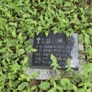 고 김혜선 원로장로님 수목장 이미지