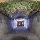 문경 오미자테마터널 이미지