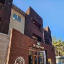 숲속의둥지 | 영양 에코둥지. 숲속의집 405호 후기. (짚코스터,목재체험,그물놀이터)