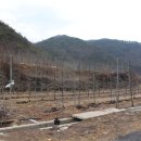 더좋은과수원