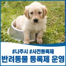 빛가람동물병원
