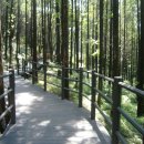 독립문역4번출구 이미지