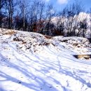 서울 초안산분묘군 이미지