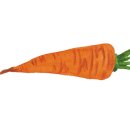 봉주르제주 이미지