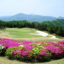 클라우드 골프클럽 이미지