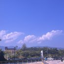 영덕세무서 | [강원도 여행] 삼척, 3일차 : 강릉초당짬뽕순두부/근덕삼척꽈배기/장호항/항가반점
