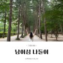 춘천출입국관리사무소 | [춘천/가평여행] 남이섬 나미나라공화국 나들이 - 모터보트 편도, 스토리투어버스 후기