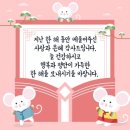 신동태권키즈짐 이미지