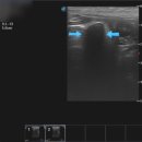 어울동물의료센터 이미지