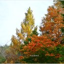 초당대학교 이미지