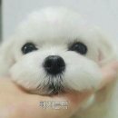 다