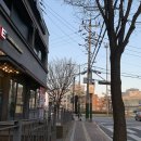 로타리솥뚜껑 | 파주 금촌역맛집 로타리 파주시청 근처 삼겹살 3+1 혜자로운 가성비 찐후기 : 로타리 솥뚜껑