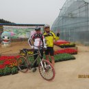 시흥대교 이미지