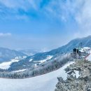 곤지암리조트 이미지