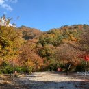 덕유캠프농장 이미지