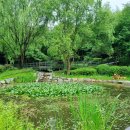 책달샘숲속작은도서관 이미지