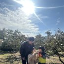 별하늘어린이집 이미지