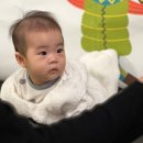 홈플러스부산정관점 | [문화센터] 7개월 아기 홈플러스 부산정관점 문센 ☃️ (1일특강, 떼굴떼굴 리틀콩 '겨울나라 눈사람과...