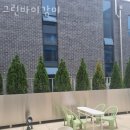 그린미용실 이미지