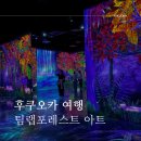 포레스트랩 | 후쿠오카 핫플 팀랩 포레스트 후기 실내 데이트 추천, 가격 정보