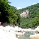 단양팔경