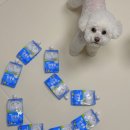 최정언산양목장 이미지