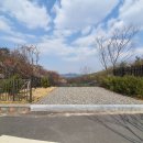 영인산자연휴양림 숲속야영장 티스토리