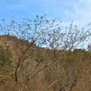 보성주차장 이미지