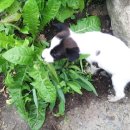 오미자희망마을 이미지