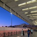 레오나르도 | [여행] 이탈리아 2주 여행 🇮🇹 로마 테르미니 ↔️ 피우미치노 공항,레오나르도 익스프레스 후기