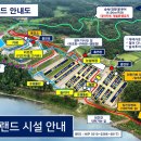 알멕스리조트 네이버블로그