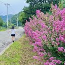 본죽&비빔밥 전주예수병원점 | 8월 일상 사진