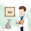 서울동물병원 앞 이미지