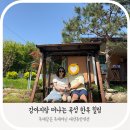 곡성 기차마을 애견동반펜션 이미지