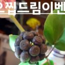 오찝