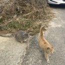 드론 국가자격증과정(무인멀티콥터3종) 이미지