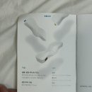 발란스코드 | 발란스코드 경추베개 후기!(일자목, 거북목, 높이조절가능)