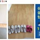 올래이사 Daum카페