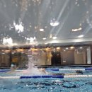 라임키즈수영장 이미지