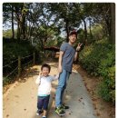 계양산산림욕장(장미원) 이미지