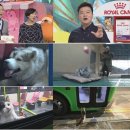 김재윤농장 이미지