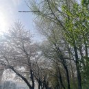 슬로우로그 - 105978 | 슬로우로그