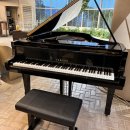 에덴피아노 이미지
