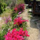 솔로몬 펜션 이미지