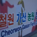 철원가산농원캠핑장 이미지