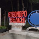 DJ 클럽파티1 | [강릉 게하] 강릉솔게스트하우스 경포본점 : DJ클럽과 바베큐 파티 즐긴 솔직후기