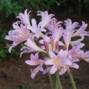 보리상사 이미지