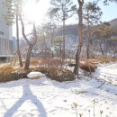 대륙 공인중개사사무소 이미지